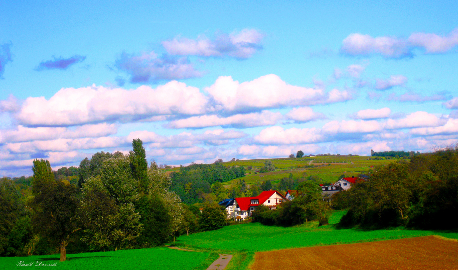 Weinort Zeutern -  Digiart