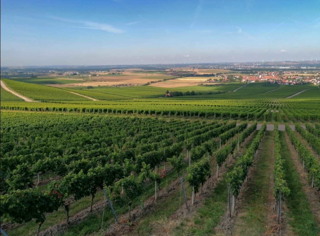 Weinparadies Franken 