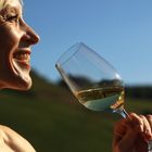 Weinprobe in der Trittenheimer Sonnenuhr