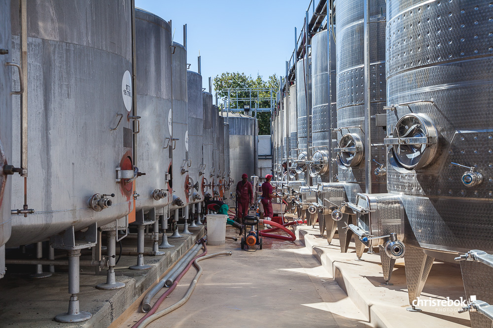 Weinproduktion Meerlust Wine Estate, Stellenbosch