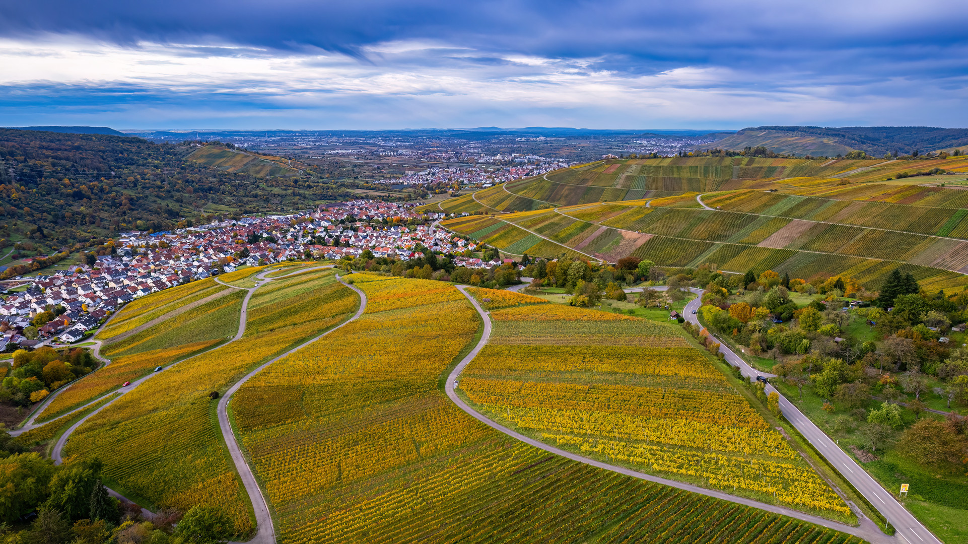 Weinreben im Herbstgewand