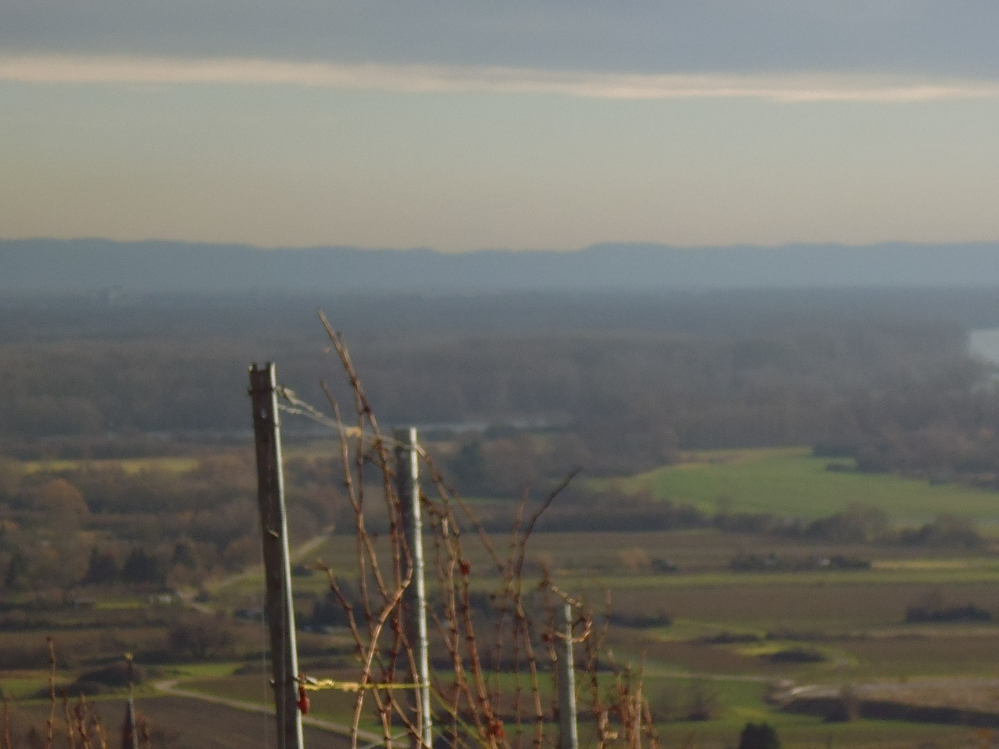 Weinregion Rheinhessen