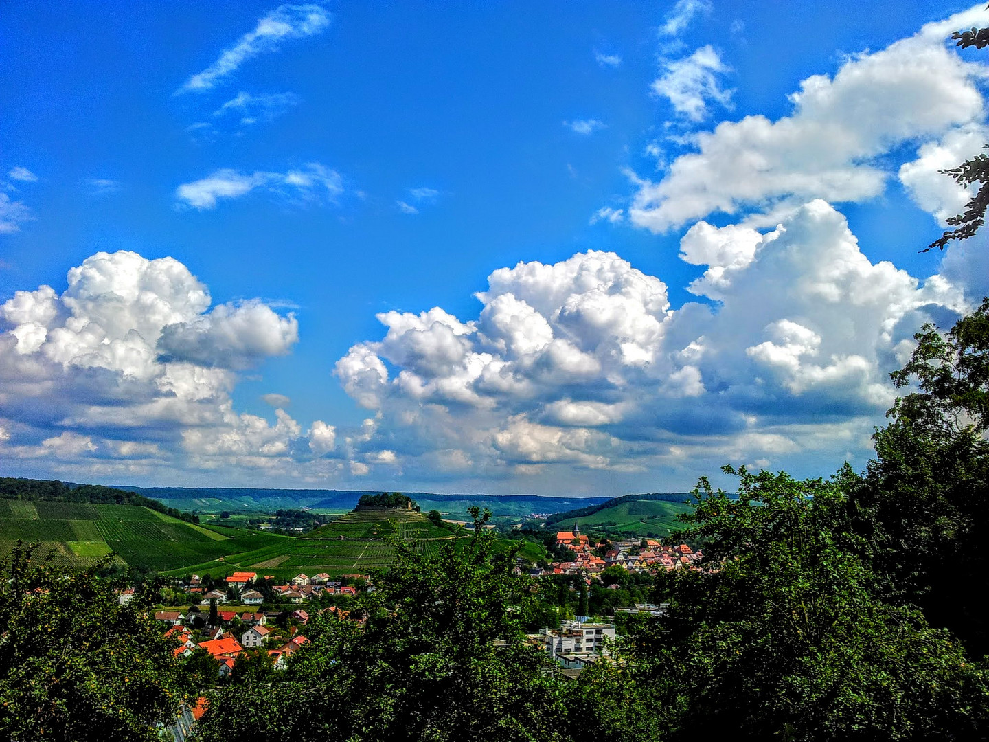 Weinsberg mit der Burg Weibertreu