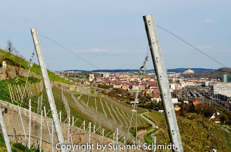 Weinstadt Würzburg