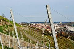 Weinstadt Würzburg