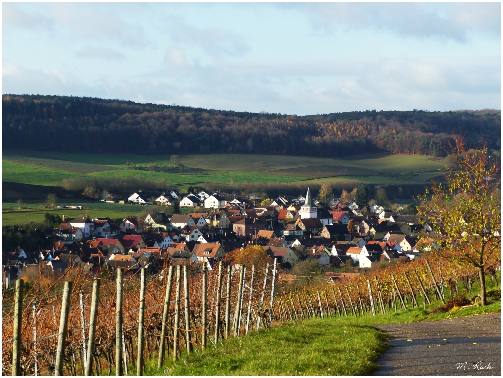 Weinstädtchen Dertingen bei Wertheim ,