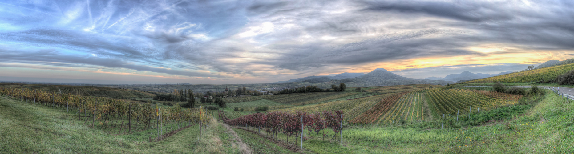 Weinstraße 180-Grad-HDR-Panorama