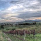 Weinstraße 180-Grad-HDR-Panorama