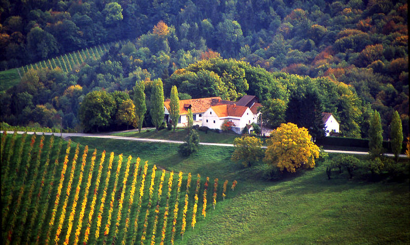 Weinstrasse bei Gablitz