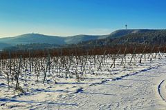 Weinstraße im Schnee