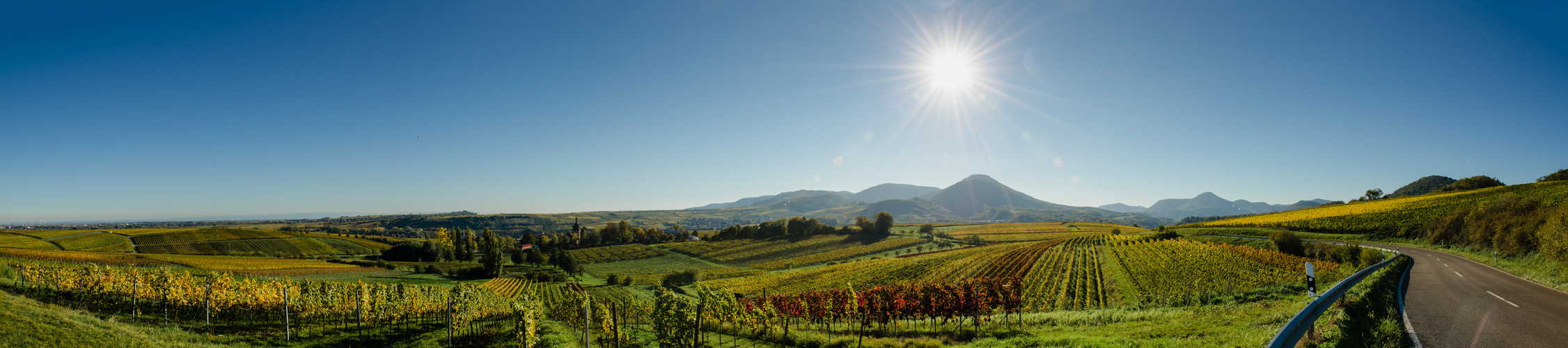 Weinstraße im sommerlichen Herbst