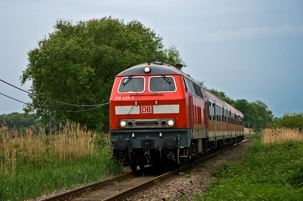 Weinstraßenexpress im Viehstrich