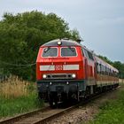 Weinstraßenexpress im Viehstrich