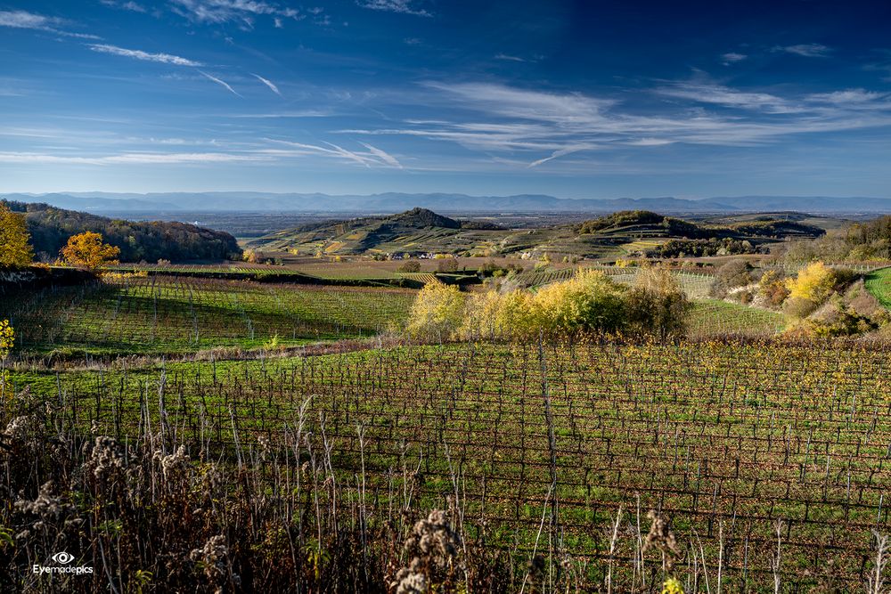 Weinterassen am Kaiserstuhl