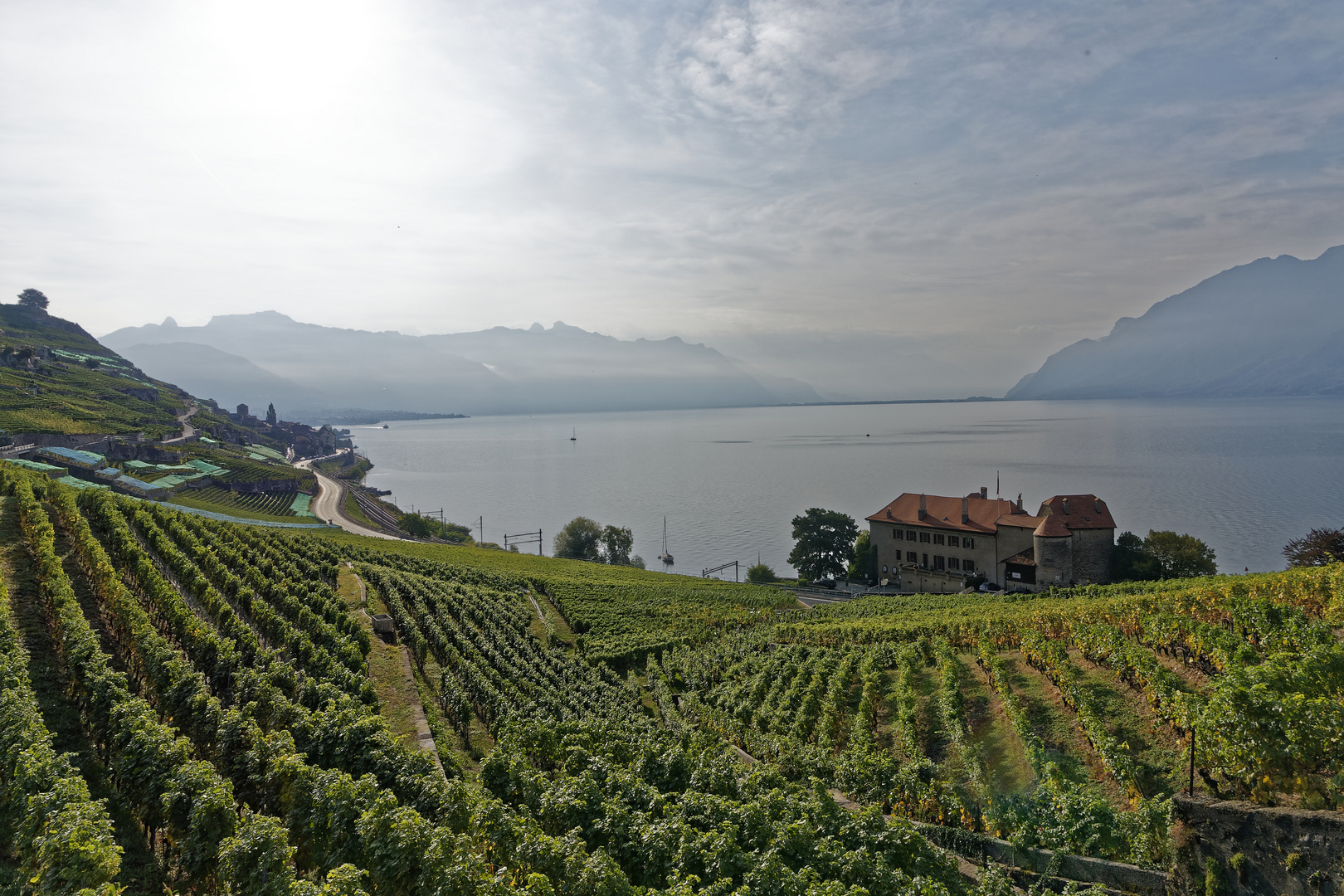 Weinterassen von Lavaux