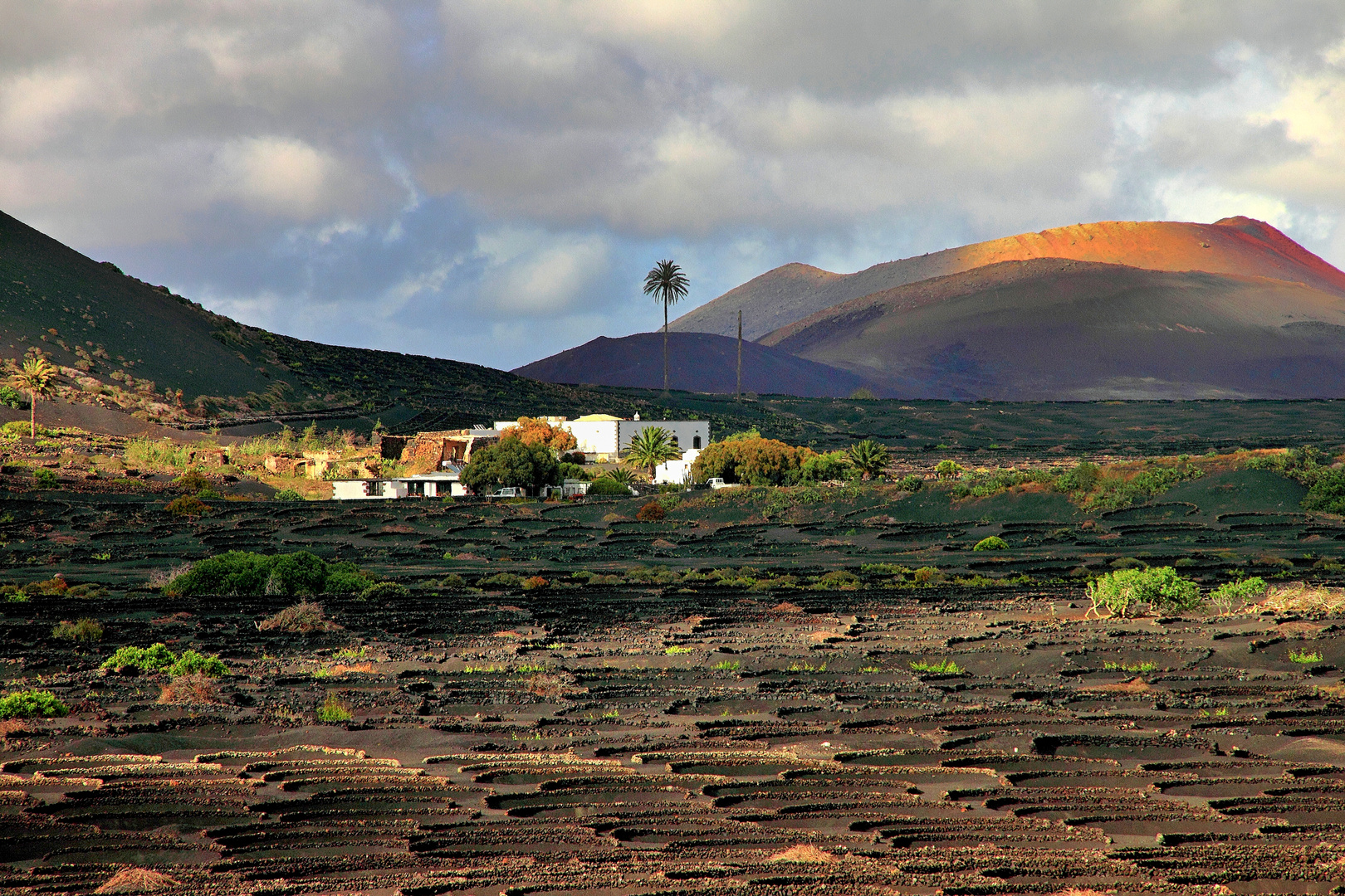 Weinterrassen auf Lanzarote 