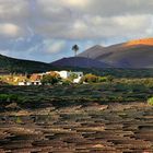 Weinterrassen auf Lanzarote 