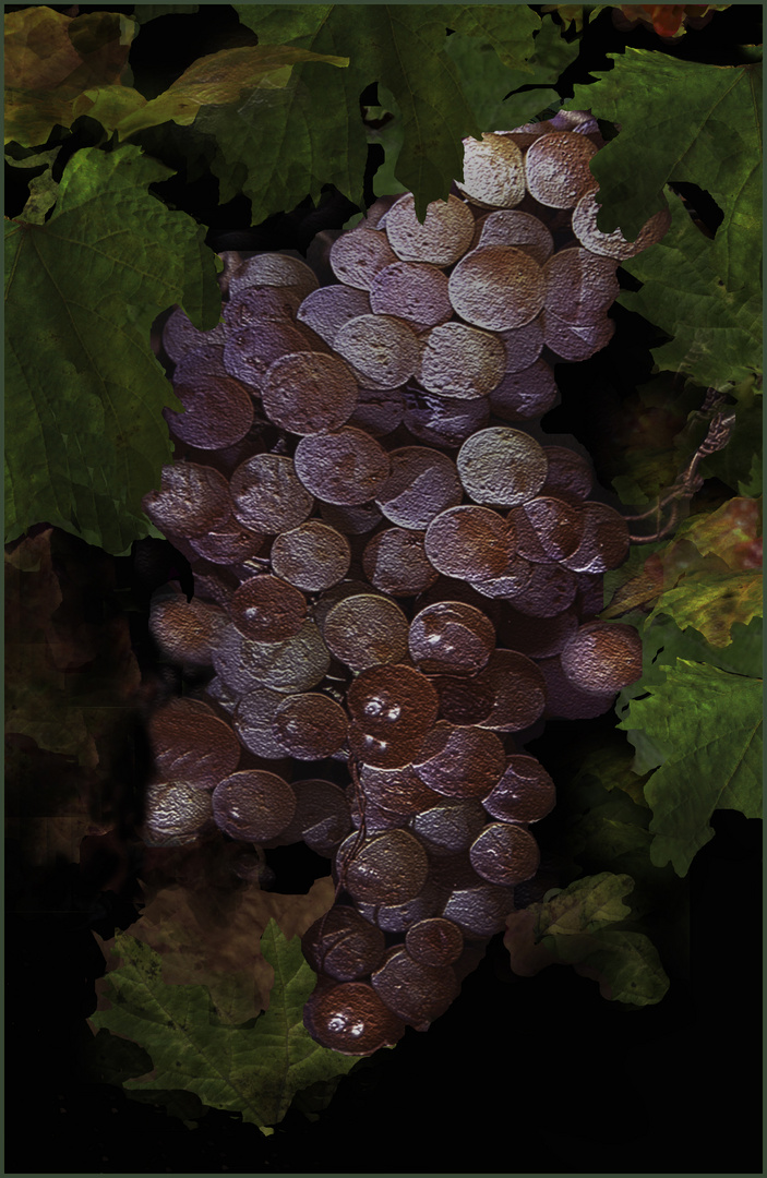 Weintrauben für CARLA GALLER