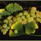 Weintrauben und Gingoblätter