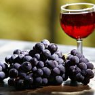 Weintrauben und Wein im Uhudlerland Burgenland