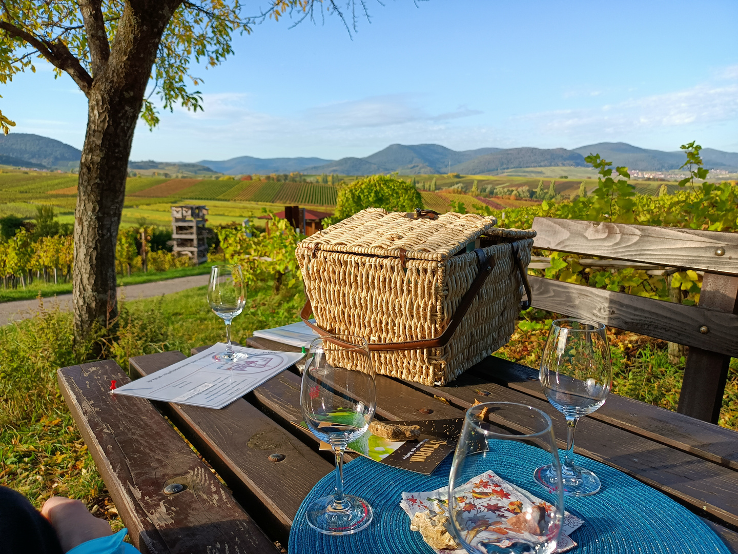 Weinverkostung an der kleinen Kalmit