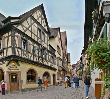 Weinverkostung bei Hugel