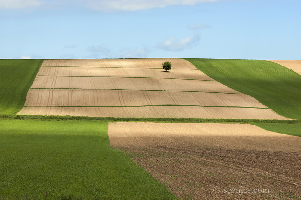 "Weinviertel"