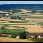 Weinviertel  *2