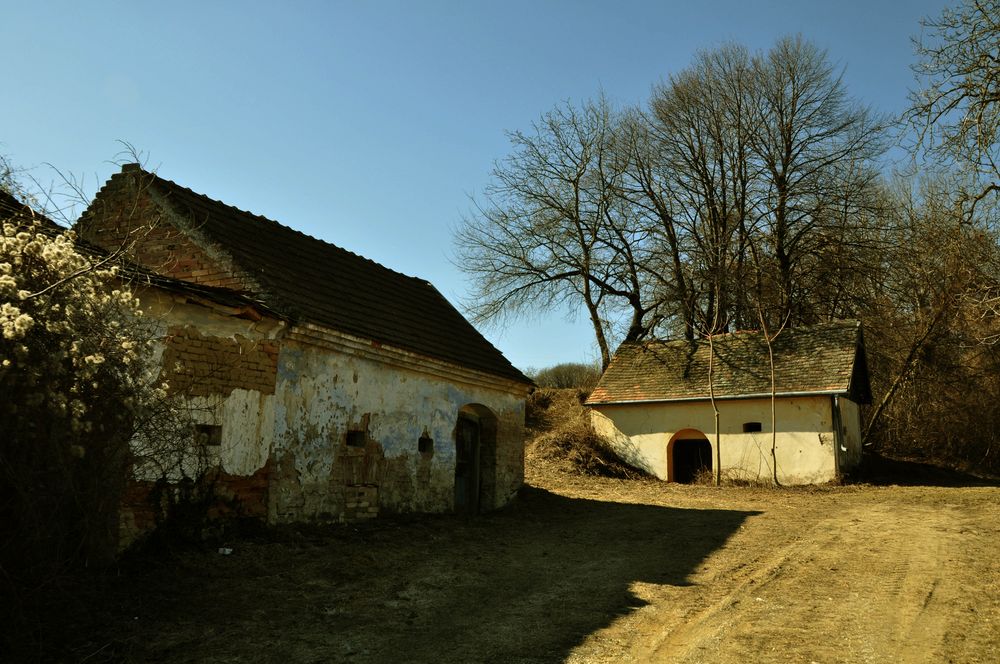 Weinviertel 2