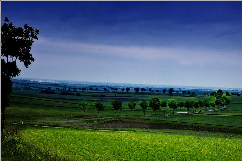 Weinviertel