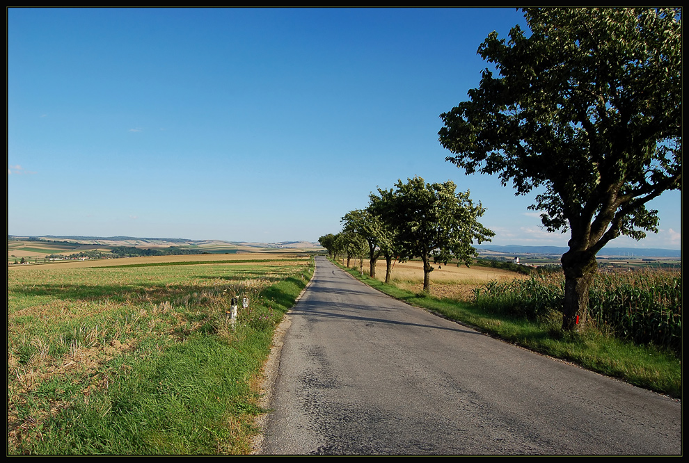 Weinviertel *4*