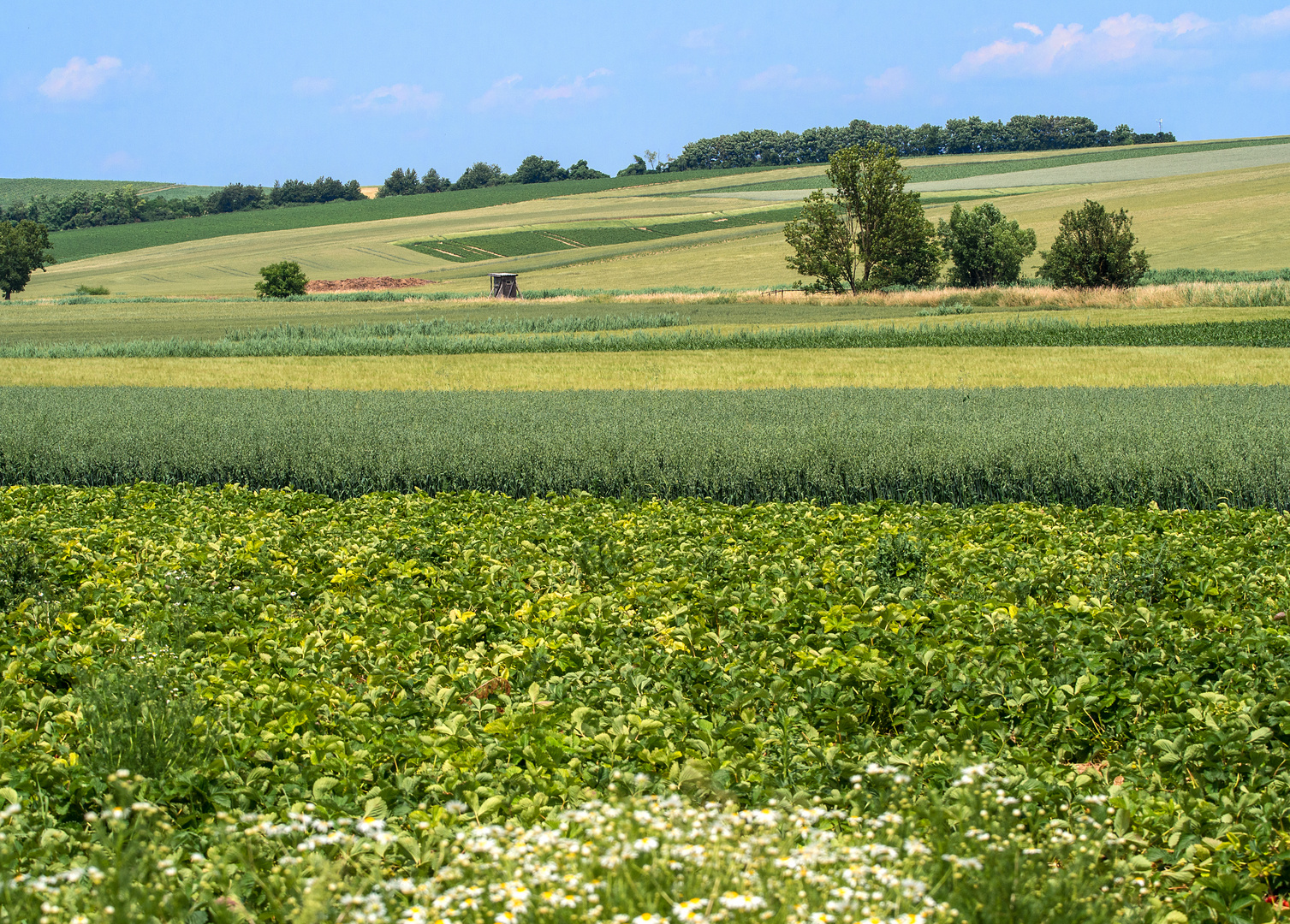 weinviertel