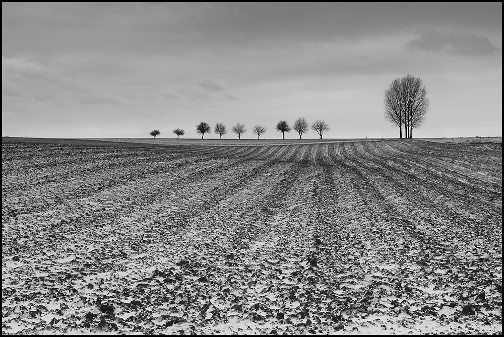 Weinviertel