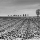 Weinviertel