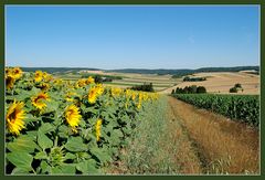 Weinviertel...