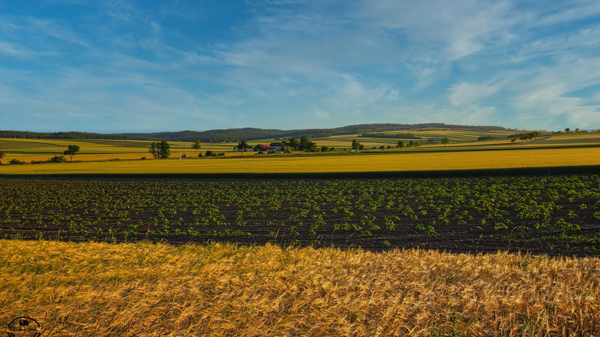 Weinviertel