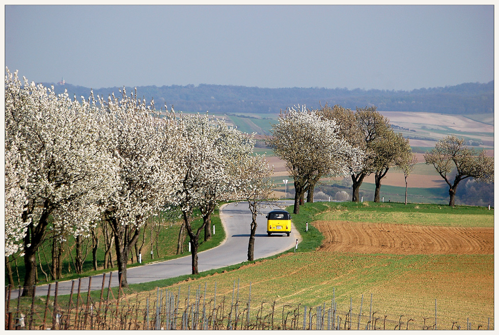 Weinviertel - Frühlingslandschaft