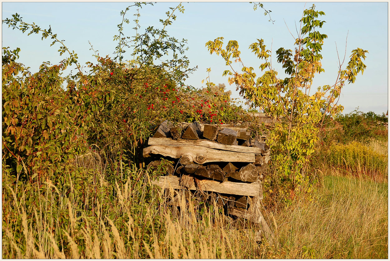 Weinviertel - Herbst ~2