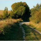 Weinviertel - Herbst