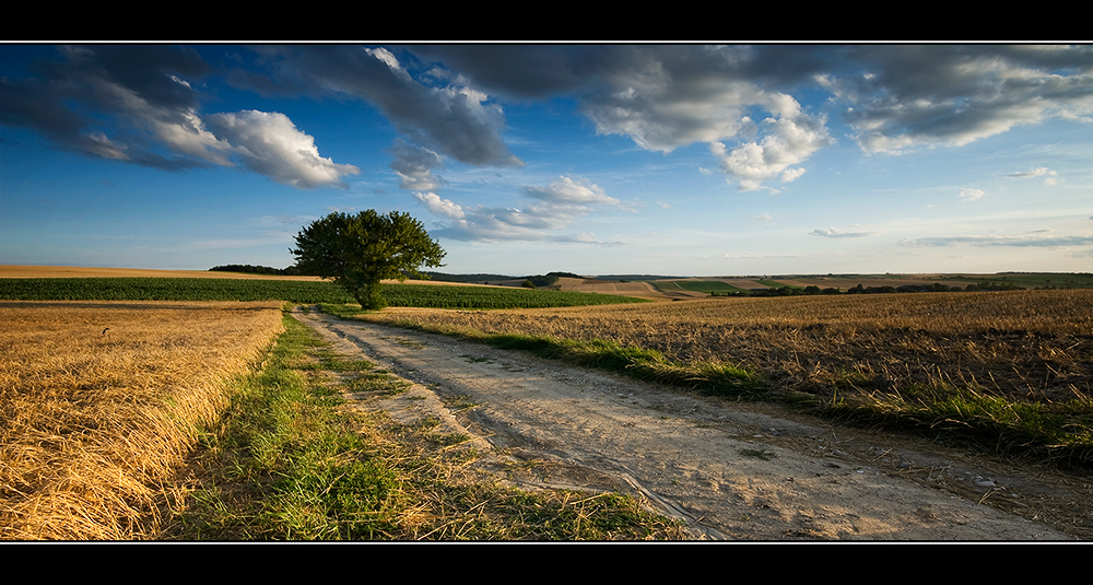 Weinviertel II