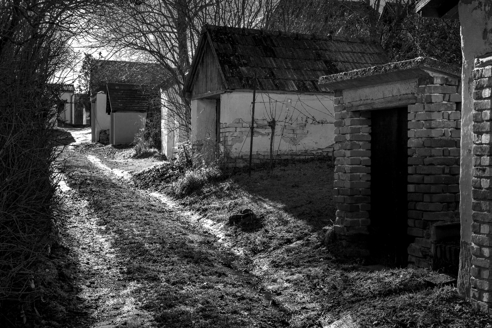 Weinviertel im Winterschlaf 02