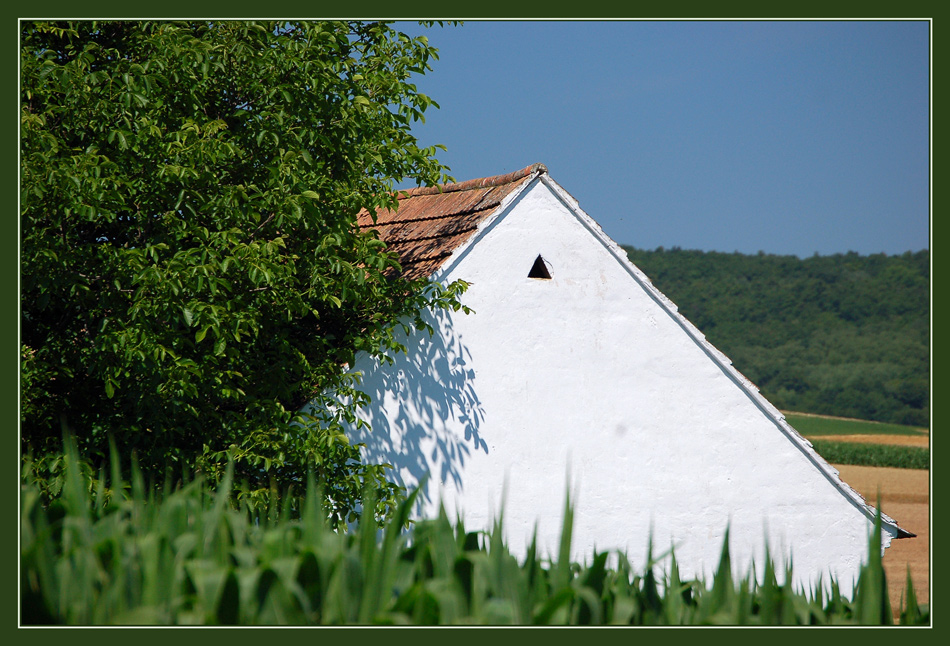 Weinviertel-Impression