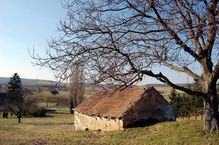 Weinviertel-Impressionen