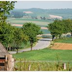 Weinviertel - Landschaft ~2~