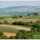 Weinviertel - Landschaft