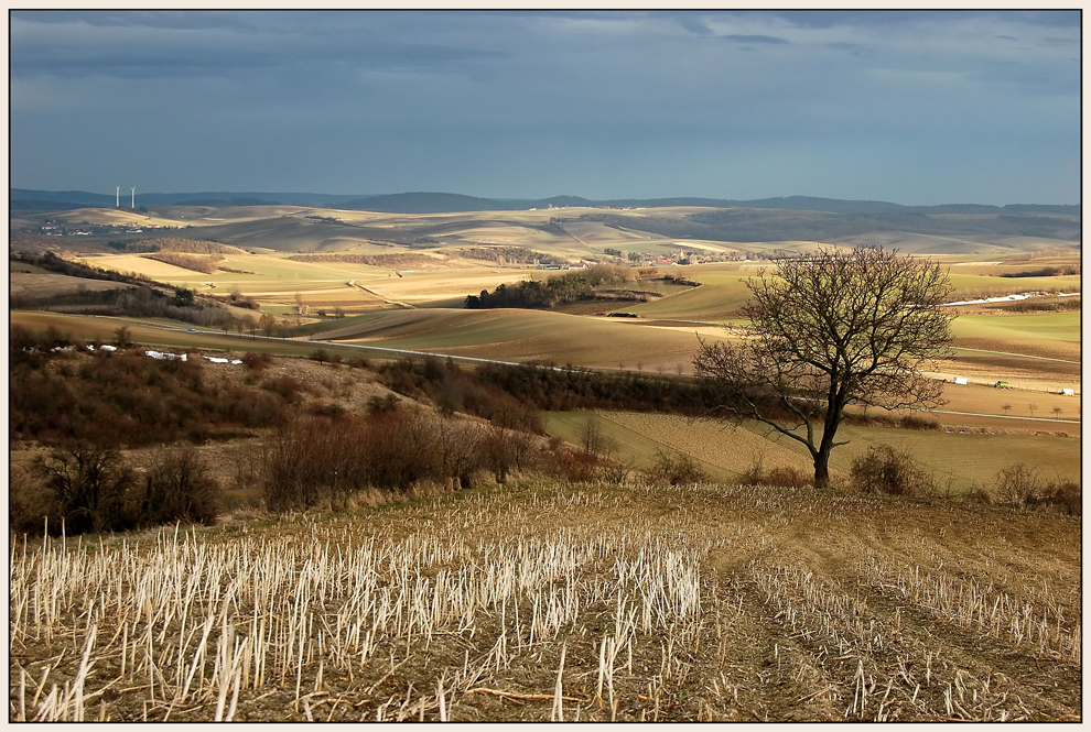 Weinviertel - März 2010