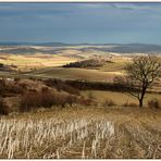 Weinviertel - März 2010