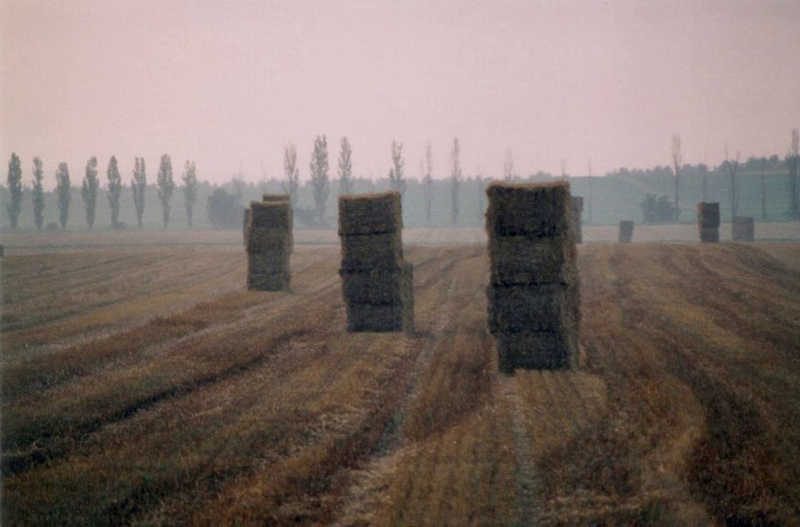 Weinviertel, Niederösterreich