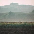 Weinviertel, Niederösterreich, Nr. 2