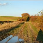 Weinviertel - November